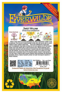 Sweet William – Colorful Wildflower Garden Seeds