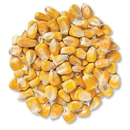 CZ Grain Pounds Deer Corn | Deer, Squirrels, Ducks Love It. Sprouts Well Seeds