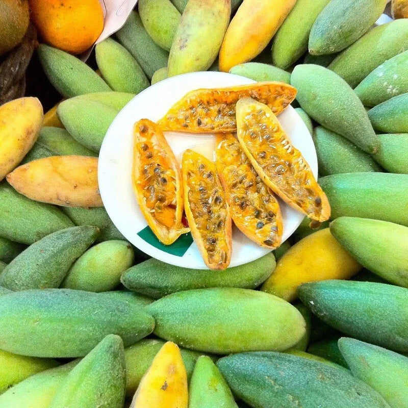 Banana Passionfruit Passion – Garden Fruit Seeds
