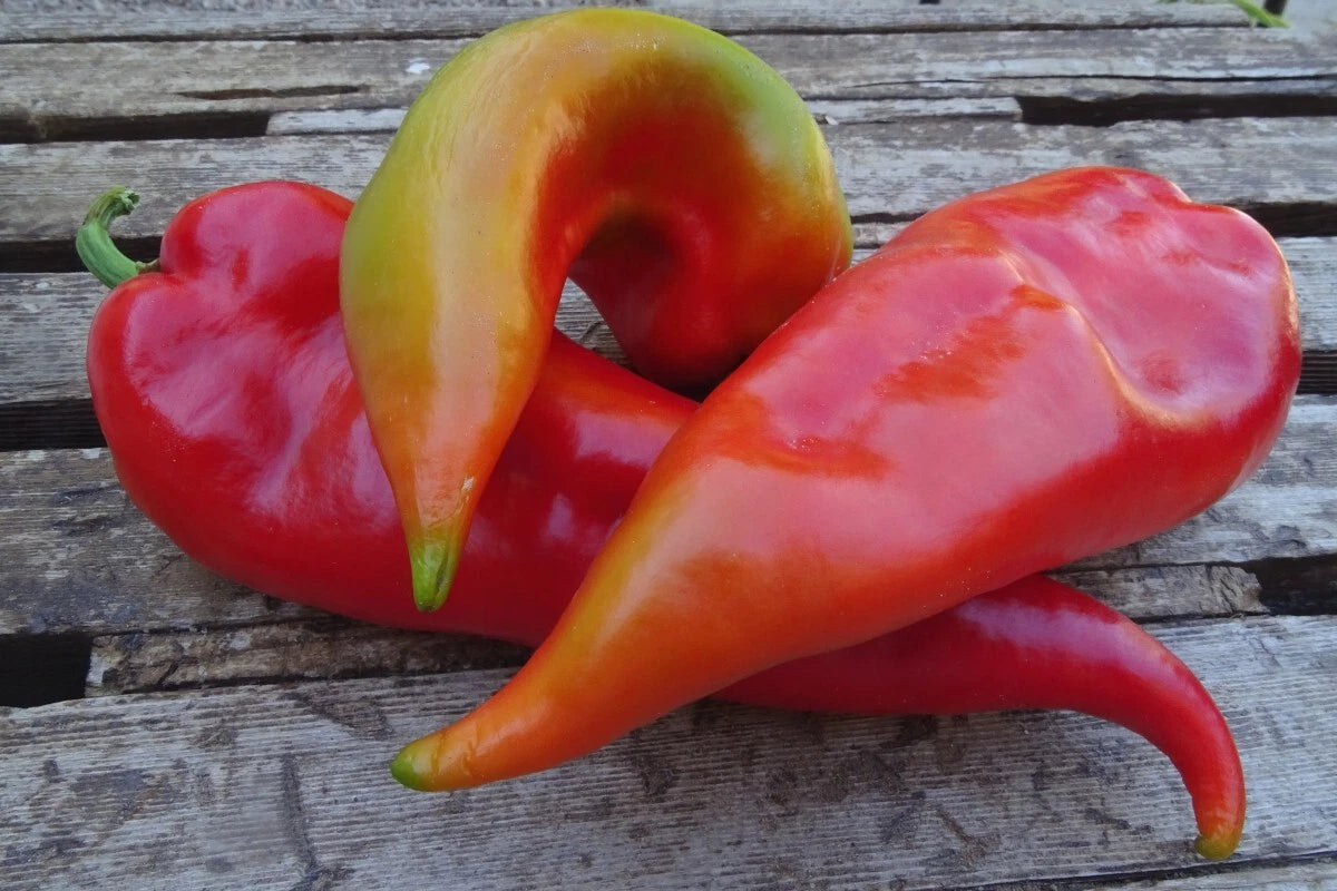 Ajvarsky Pepper – Thick-Walled Heirloom Vegetable Garden Seeds