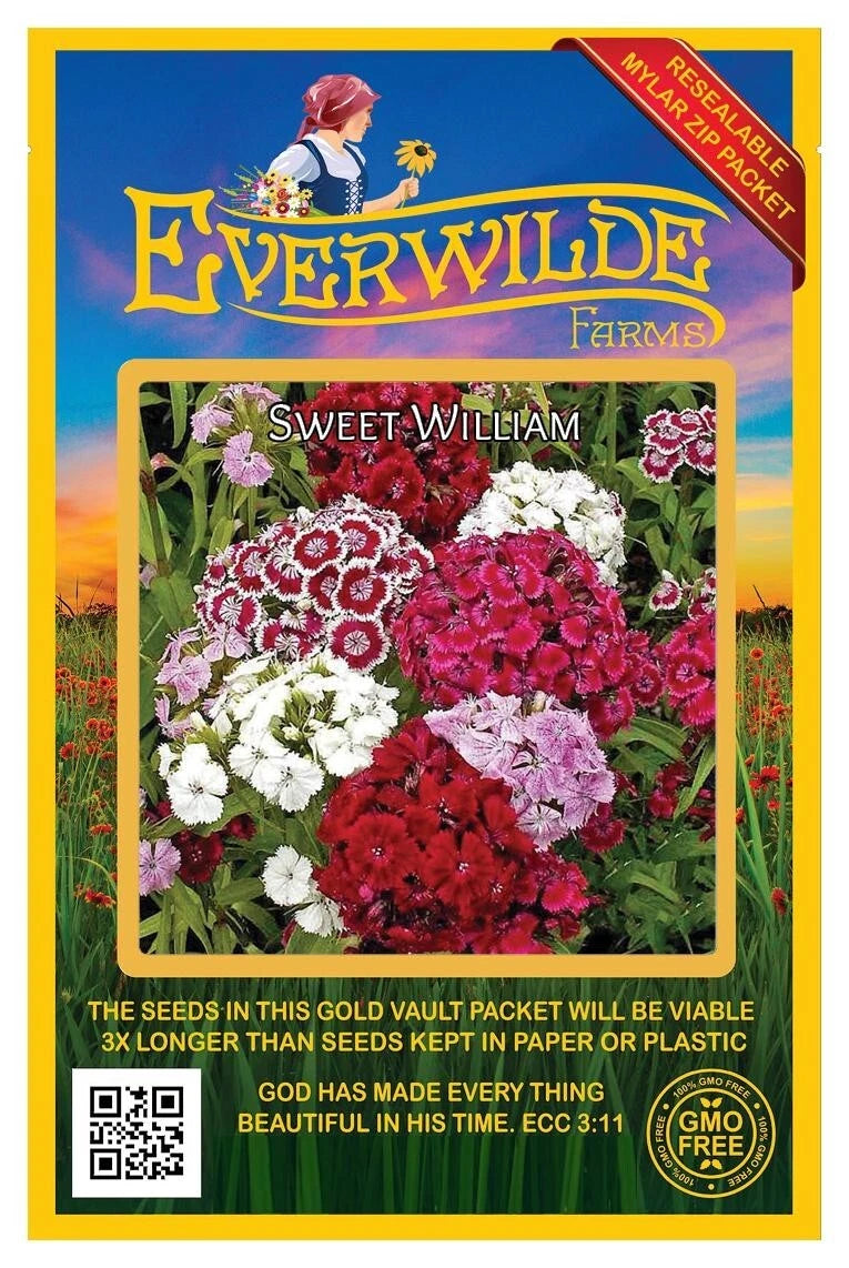 Sweet William Colorful Wildflower Garden Seeds
