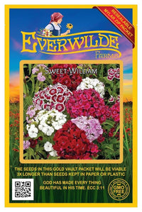 Sweet William Colorful Wildflower Garden Seeds
