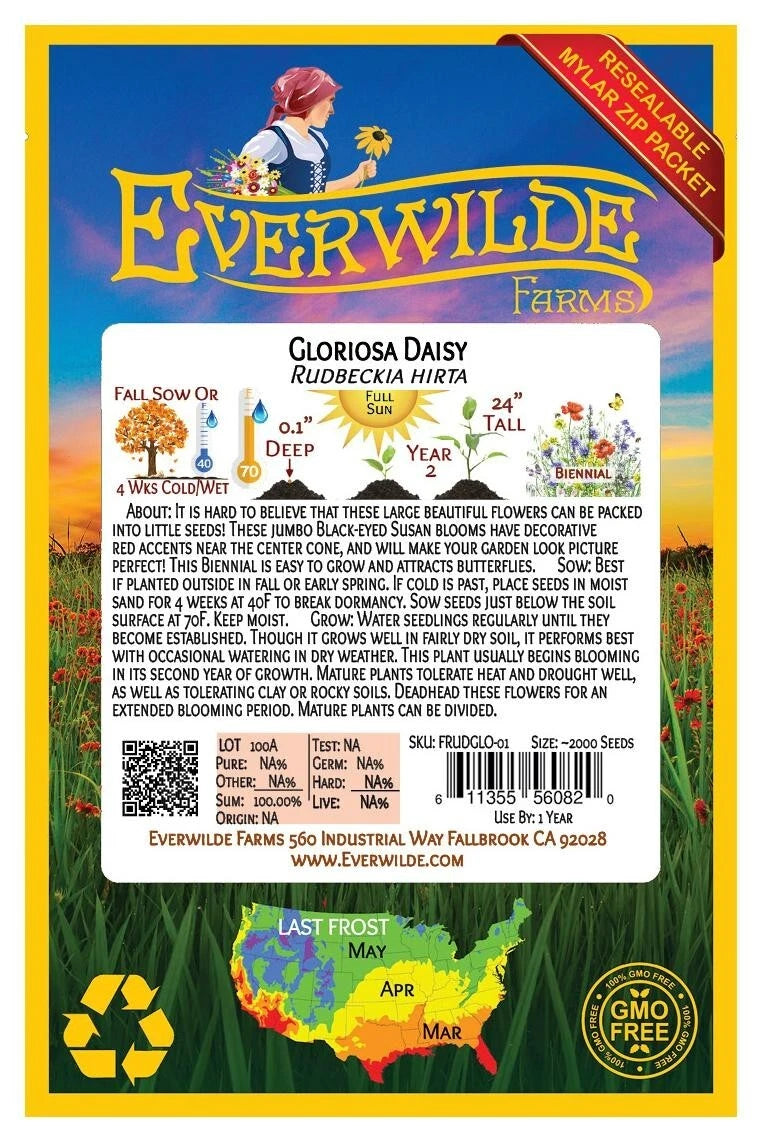Gloriosa Daisy – Bright Wildflower Garden Seeds