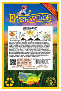 Gloriosa Daisy – Bright Wildflower Garden Seeds