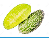 Mexican Sour Cucumber Melothria Scabra – Vegetable Seeds