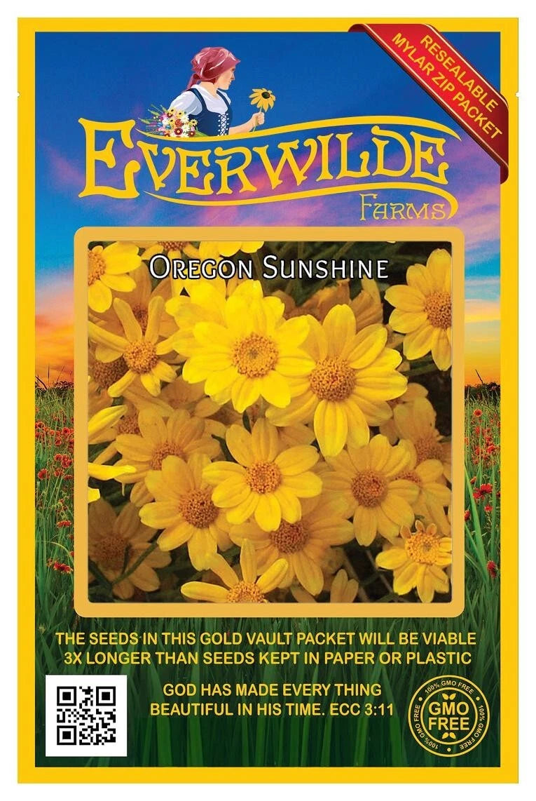 Oregon Sunshine Bright Wildflower Garden Seeds