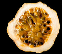 Passiflora Edulis Flavicarpa – Yellow Passionfruit Vine Seeds