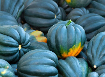 Acorn Squash Seeds for Planting King Table Squash Delicious and Nutritious