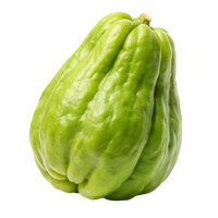 Smooth Green Chayote Seeds – Smooth Skin, Mild-Flavour Vegetable Variety